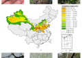 农业农村部信息中心与佳格天地联合发布2020年全国主产区苹果花期冻害预警分析