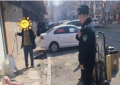 多维发力护文明  冰城公安奏响养犬治理和谐乐章