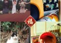 春节假期延长，除了在家旅游还能干点啥？