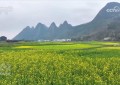 脱贫这五年｜从“悬崖边”到“幸福庄”，看大山深处布楞沟村的蝶变